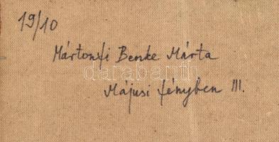 Mártonfi Benke Márta (1958-): Májusi fényben III., 2019. Olaj, farost, jelzett. Hátoldalán autográf ...