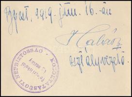 1919 Általános polgári iskolai kinevezés, rajta Hajtai Ferenc (1878-1956) közoktatásügyi népbiztossá...