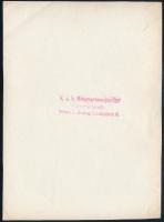 1914-1918 Osztrák-magyar katonai repülőgépből kirakodják a légipostát Bécsben, a Bécs-Budapest közöt...