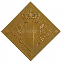 Osztrák-Magyar Monarchia 1916. "Habsburg Ottó trónörökös" Br csegely emlékérem. "FRAN...