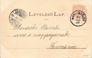 1899 (Vorläufer) Oravica, Oravita; Erdei lak a Puskáshegyen. C. Kehrer / Puskas am Lupp / forest hou...