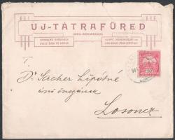 1906 Uj-Tátrafüred (Nový Smokovec/Neu-Schmecks) Magaslati Gyógyhely képével díszített szecessziós fe...