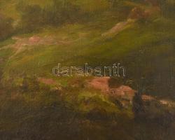 Telepy Károly (1828-1906): Hegyvidéki naplemente. Olaj, vászon. Jelezve balra lent: Telepy K 891. Há...