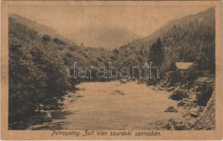 Petrozsény, Petrosani; Zsil vize a Szurduki szorosban. Hammer Ábrahám kiadása / Pasul Surduc, Raul Jiu / mountain pass, river