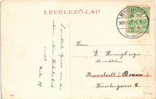 1909 Herkulesfürdő, Herkulesbad, Baile Herculane; Szapáry fürdő. 761. / bath, spa (EK)