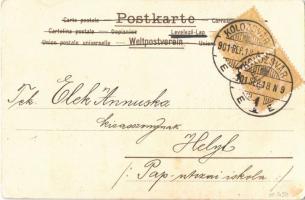 1901 Lady art postcard, winter. litho (EK)