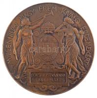 Beck Ö. Fülöp (1873-1945) 1896. "1896-iki Ezredéves Országos Kiállitás / Milleniumi Nagy Érem K...