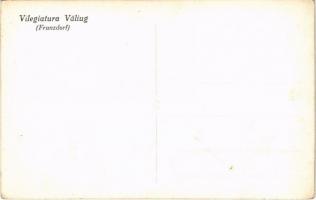 Ferencfalva, Valiug; Vilegiatura / nyaraló, automobilok / villa, holiday resort, automobiles. photo ...