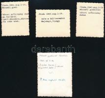 1940, 1943 Óbuda, katonai műszaki gyakorlat, 4 db feliratozott fotó, 6×5 és 8×6 cm