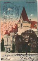 1922 Nagykároly, Carei; Gróf Károlyi kastély. Eigner Simon kiadása / castle (kis szakadás / small tear)