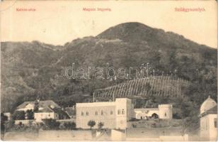 1907 Szilágysomlyó, Simleu Silvaniei; Kalvin utca, Magura hegység, Simai kastély, nyaraló. Heimlich K. kiadása / general view, mountain, castle, villa (EK)