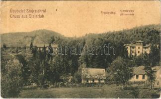 1908 Stájerlak, Steierdorf, Staier (Anina, Stájerlakanina); Freidenthal nyaralótelep. W. L. 1177. Hollschütz kiadása / Freidenthal Villencolonie / villa colony (EB)