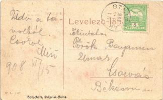 1908 Stájerlak, Steierdorf, Staier (Anina, Stájerlakanina); Freidenthal nyaralótelep. W. L. 1177. Ho...
