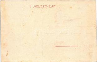 Arad, a megyeház kertje, háttérben az Erzsébet királyné körút / garden of the county hall, street vi...