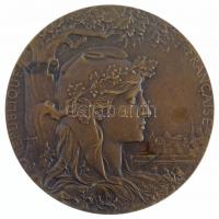 Franciaország 1900. "Francia Köztársaság / Párizsi Világkiállítás 1900" Br emlékérem, adom...