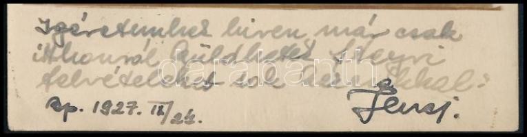 1927 Luxemburger Jenő (1906-2006) pilóta, sportrepülő autója előtt, fotólap, saját kezű soraival alá...