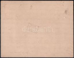 cca 1900 Sepsikőröspatak, Kálnoky kastély, fotó kartonon, Sepsiszentgyörgy, Gere István műterméből, ...