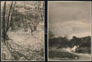 cca 1920-1930 Tájképek, havas táj, erdőrészlet, hegymászó, erdei ház, stb., 16 db fotó, 17×12 cm