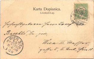 1900 Petar Preradovic hrvatski pjesnik / Croatian poet (fl)