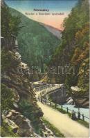 1913 Petrozsény, Petrosani; részlet a Szurduki szorosból. Steiner R. kiadása / Pasul Surduc / mountain pass, bridge (EK)