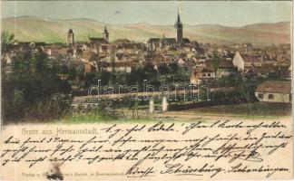 1900 Nagyszeben, Hermannstadt, Sibiu; látkép, vasúti híd. Georg Meyer kiadása / general view, railway bridge (szakadás / tear)