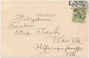 1904 Pozsony, Pressburg, Bratislava; Dunasor, vár, gőzhajó. Divald Károly 512. sz. / Donaulände / ca...