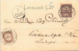 1901 Budapest I. Királyi vár és várbazár, gőzhajók, Lánchíd (EK)