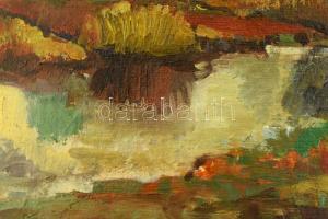 L. de Paál jelzéssel: Erdőrészlet. Olaj, vászon, javított. 30×40 cm