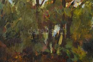 L. de Paál jelzéssel: Erdőrészlet. Olaj, vászon, javított. 30×40 cm