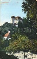 1911 Alsólendva, Lendva, Dolnja Lendava; vár. Balkányi Ernő kiadása / castle (EB)