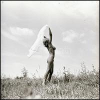 Különböző időpontokban, több fotómodell közreműködésével, készült akt felvételek, Menesdorfer Lajos ...