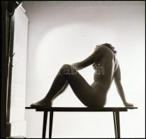 Különböző időpontokban, több fotómodell közreműködésével, készült akt felvételek, Menesdorfer Lajos ...