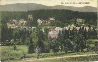 1915 Borszék, Borsec; madártávlatból, nyaralók, fürdő / general view, spa, bath, villas (EK)