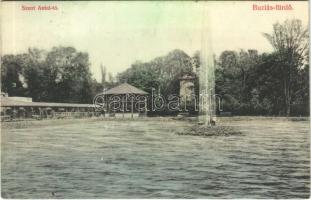 1908 Buziásfürdő, Buziás, Baile Buzias; Szent Antal tó. Francz Testvérek kiadása / lake (EK)