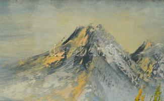 Jelzés nélkül: Hegyvidéki táj. Olaj, vászon. Dekoratív fa keretben. 20x26 cm