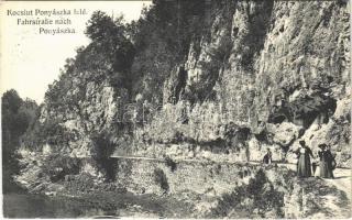 1914 Ponyászka, Poneasca (Bozovics, Bozovici); kocsiút Ponyászka felé. Weisz Félix kiadása / road to Poneasca (EK)