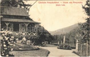 1909 Ponyászka, Poneasca (Bozovics, Bozovici); János lak. Weisz Félix kiadása / villa (fl)