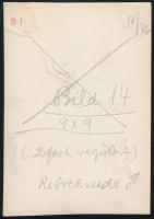 1934 Kinszki Imre (1901-1945) budapesti fotóművész hagyatékából, jelzés nélküli, de a szerző által n...