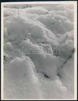 cca 1935 Kinszki Imre (1901-1945) budapesti fotóművész hagyatékából, jelzés nélküli vintage fotóművészeti alkotása (friss hó), 23x18 cm
