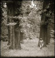 cca 1979 Itt is, ott is meztelen nők, szolidan erotikus felvételek, 6 db vintage NEGATÍV, 6x6 cm