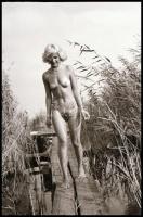 cca 1978 Velencei-tó; ,,hej mambó, leesett a bugyi és a melltartó"; szolidan erotikus felvétele...