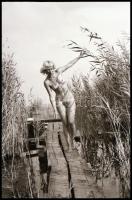 cca 1978 Velencei-tó; ,,hej mambó, leesett a bugyi és a melltartó"; szolidan erotikus felvétele...