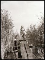 cca 1978 Velencei-tó; ,,hej mambó, leesett a bugyi és a melltartó"; szolidan erotikus felvétele...