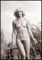 cca 1978 Velencei-tó; ,,hej mambó, leesett a bugyi és a melltartó"; szolidan erotikus felvétele...