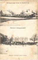 Csőszpuszta (Tés), Mezőgazdasági hivatal és főintézői lak, honvéd kincstári gulya itatása télen, katonák (fl)
