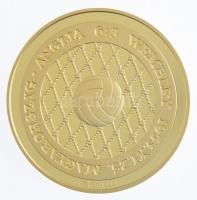 Rónay Attila (1971-) 2003. "Magyarország-Anglia 6:3 50. évforduló" aranyozott Ag emlékérem...