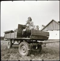 cca 1982 Szép emlékek között tallózva, 8 db vintage NEGATÍV Menesdorfer Lajos (1941-2005) budapesti ...