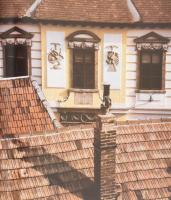 Vujicsics Sztoján: Szentendre. Tahin Gyula fotóival. Bp., 1986, Corvin. Kiadói kartonált papírkötés