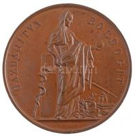 Josef Daniel Boehm (1794-1865) 1843. "A Magyar Orvosok és Természetbúvárok 1843. évi temesvári ...