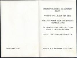 Szöllősy Kálmán (1887-1976) budapesti fényképész és fotóművész felvétele, amelyet újra nagyítottak, ...